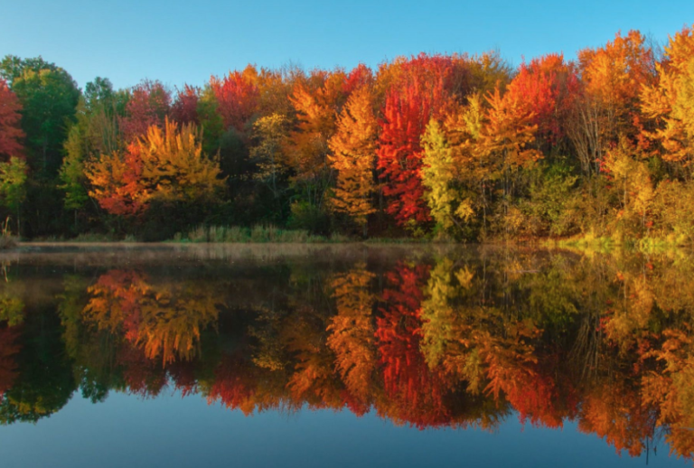 FALL REFLECTIONS – Embrace the Challenge